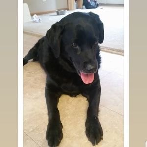 Meet your Posher, Patti